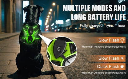 LichtPoot™ LED Hondenharnas