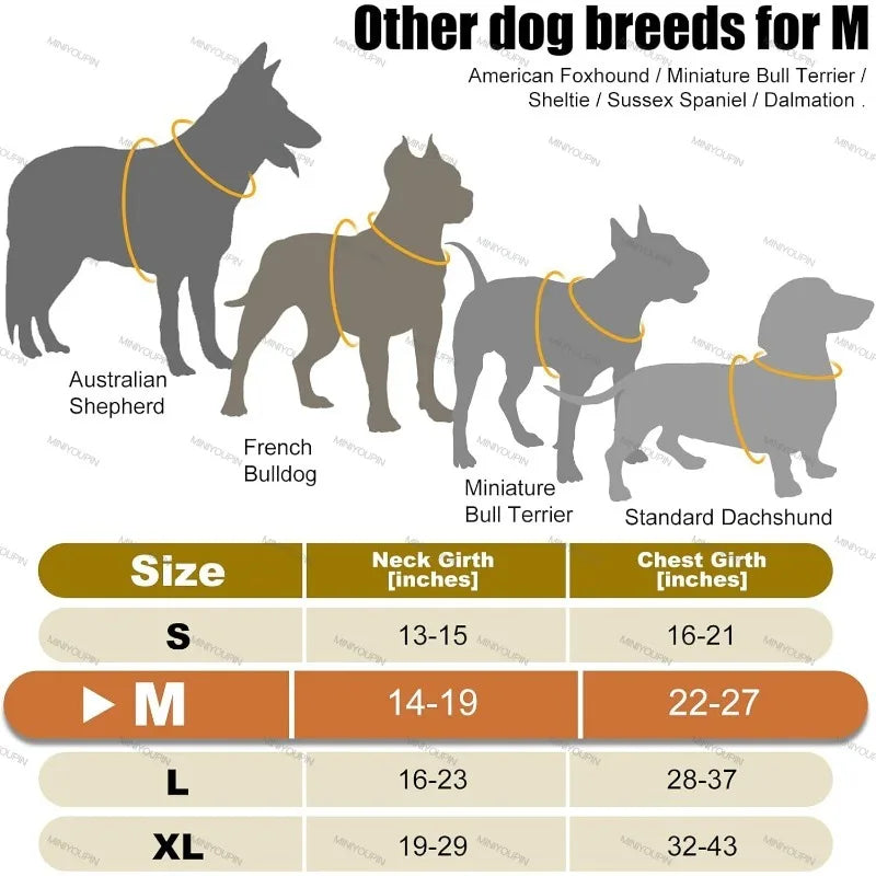 LichtPoot™ LED Hondenharnas