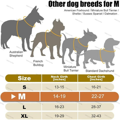 LichtPoot™ LED Hondenharnas